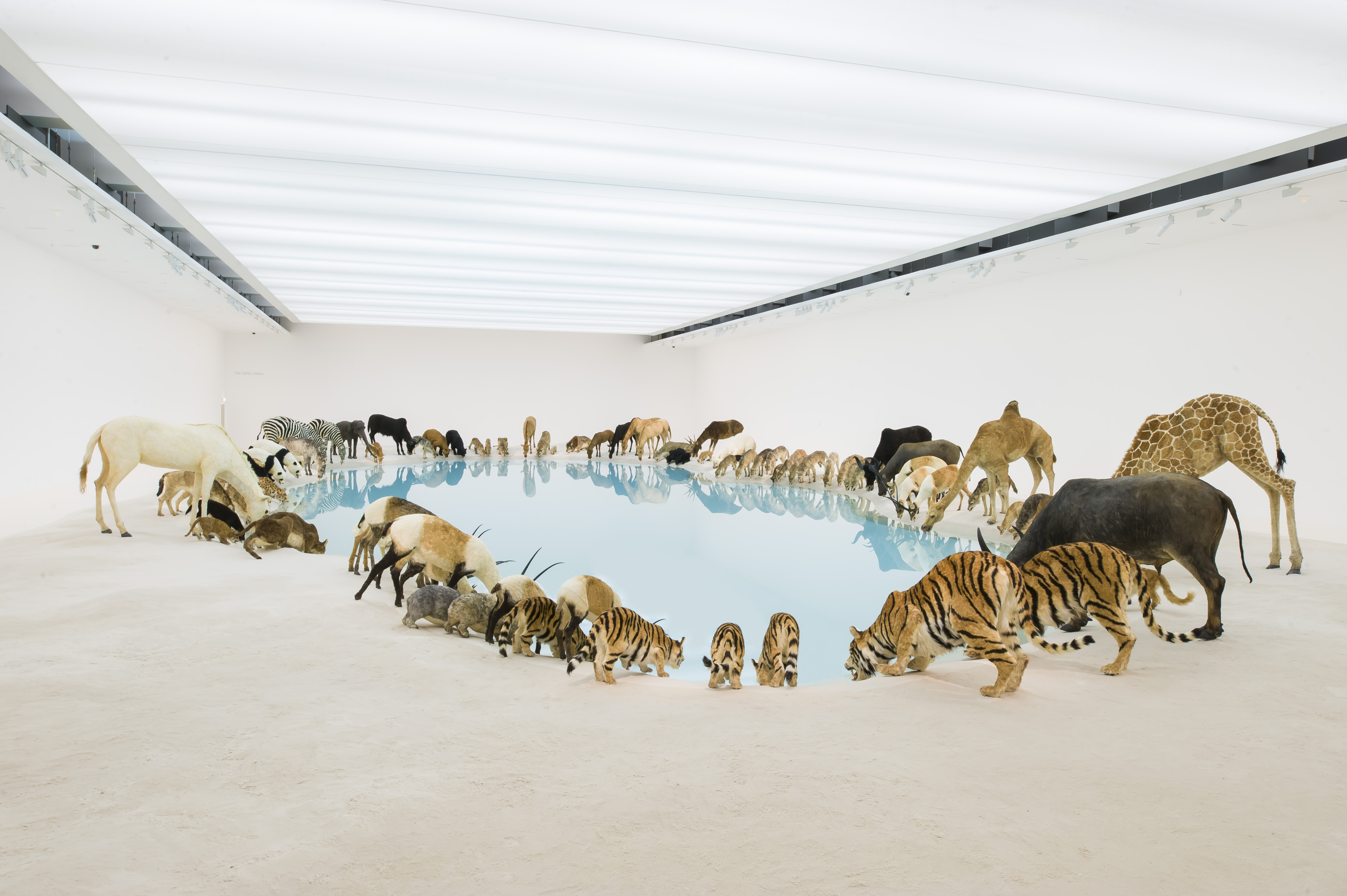 https://shakuro.com/blog/wp-content/uploads/2018/06/Cai-Guo-Qiang-Heritage-Wateringhole-99-life-sized-replicas-of-various-animals-water-sand-2013-Brisbane-Gallery-of-Modern-Art-1.jpg