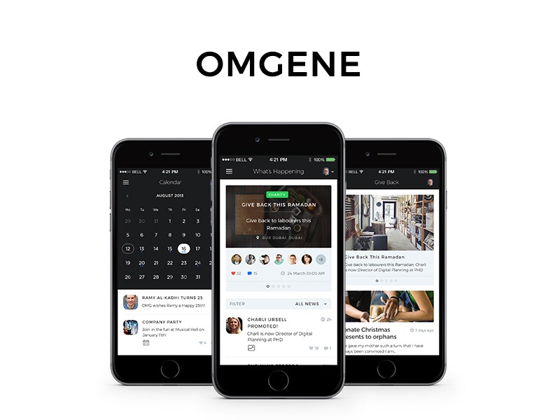 Enterprise app development company OMGene case