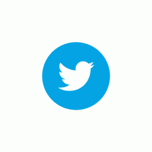 Twitter icon animation