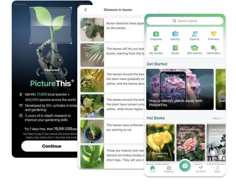 e-learning-app Picturethis